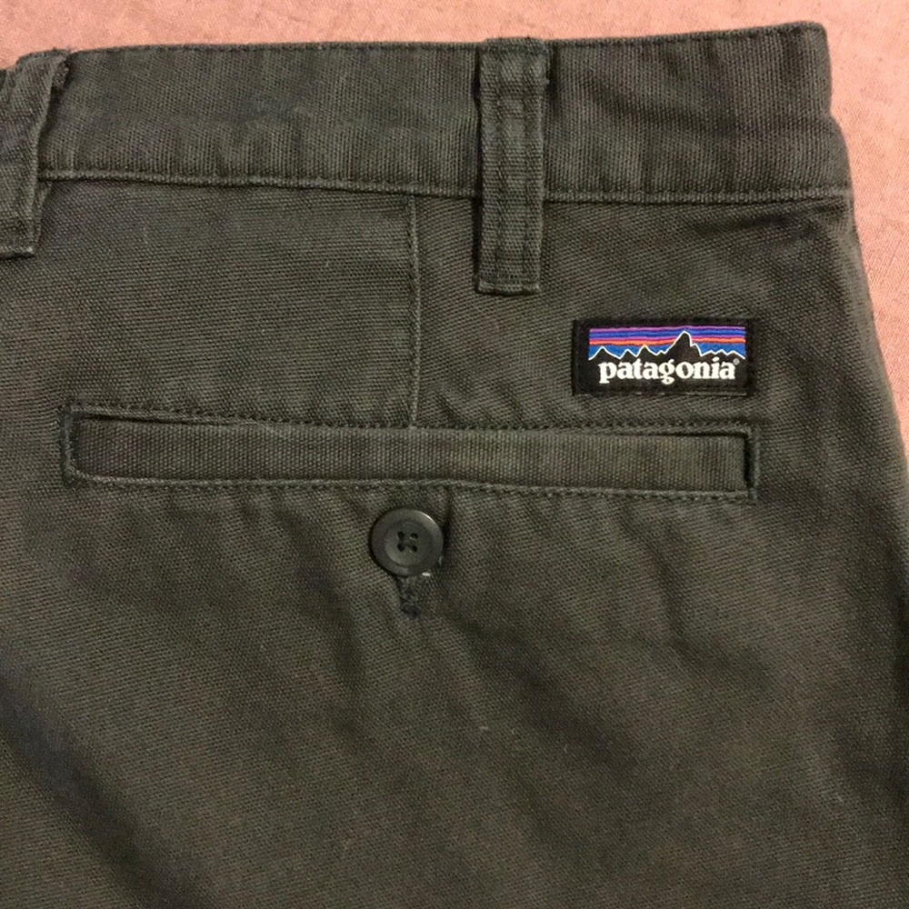 Patagonia Organic Cotton Hiking Pants